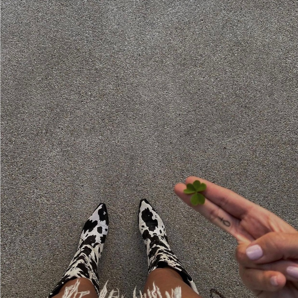 Dingo Cow Print Western Boots - NWT